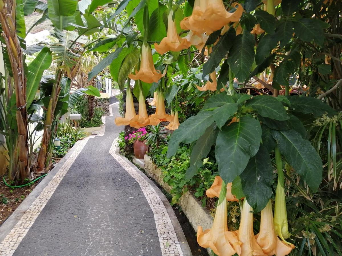 滨海雅尔丁Casa Lg别墅 外观 照片